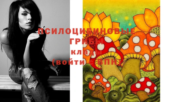 не бодяженный Дмитриев