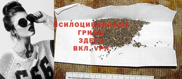 не бодяженный Дмитриев