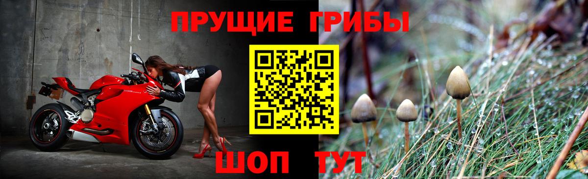 купить закладку  Вход с VPN  Ирбит  Галлюциногенные грибы Cubensis  Галлюциногенные грибы мицелий 